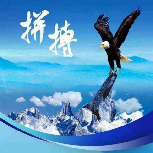 草原上的雄鹰85710