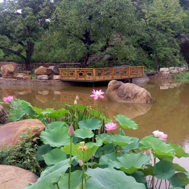 石家庄辛集市招电焊1名，焊接暖通管道技术过硬，非诚勿扰二把刀不要，工资350元一天9个小时，