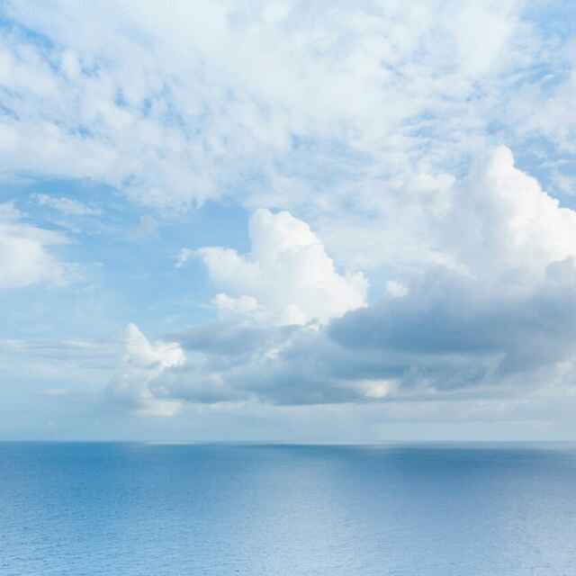 兰考市场孙新民