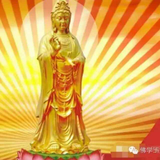 忘情水46586