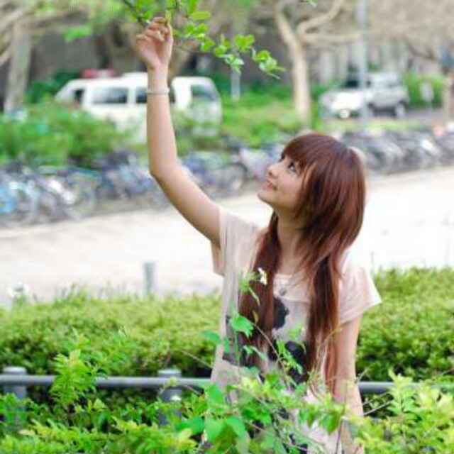小海豚_41120732
