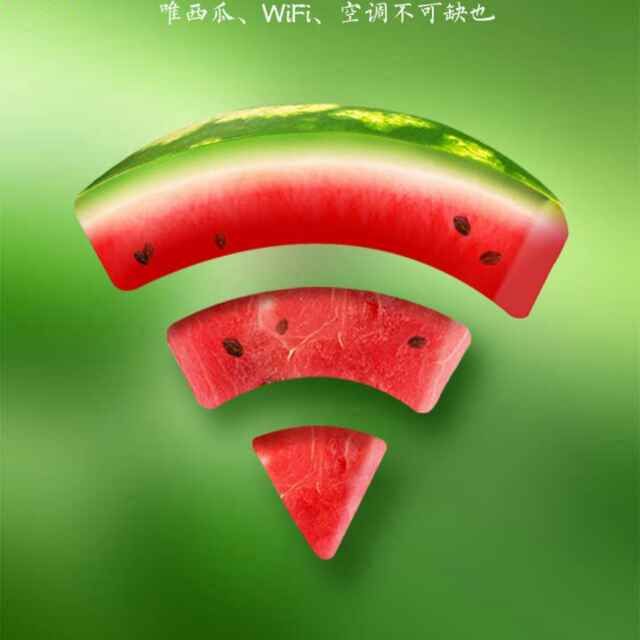 小海豚_33800068