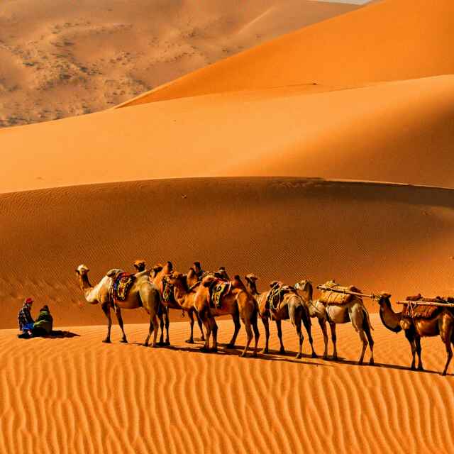 明天是否会醒来