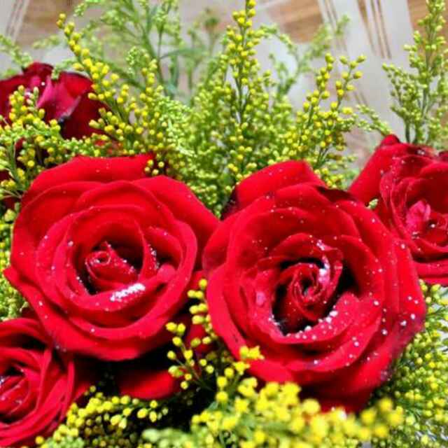 明天会更好22466