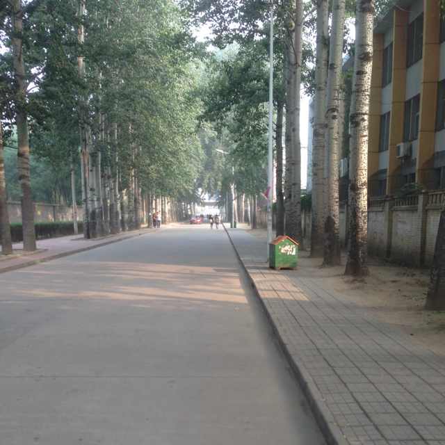顽石