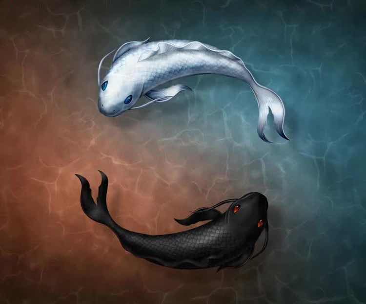 生命在于折腾56886