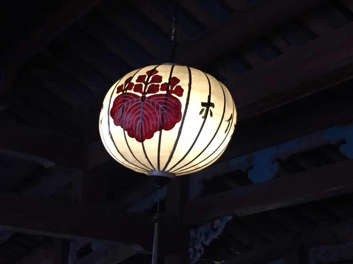 紫荆