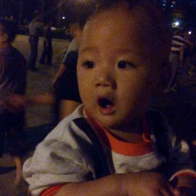 小海豚_37836766