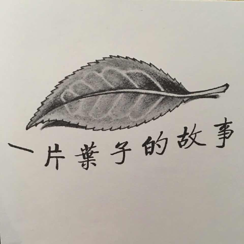 ?小茶徒?