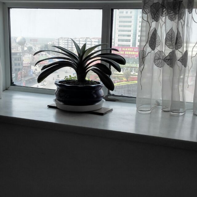 上山下乡