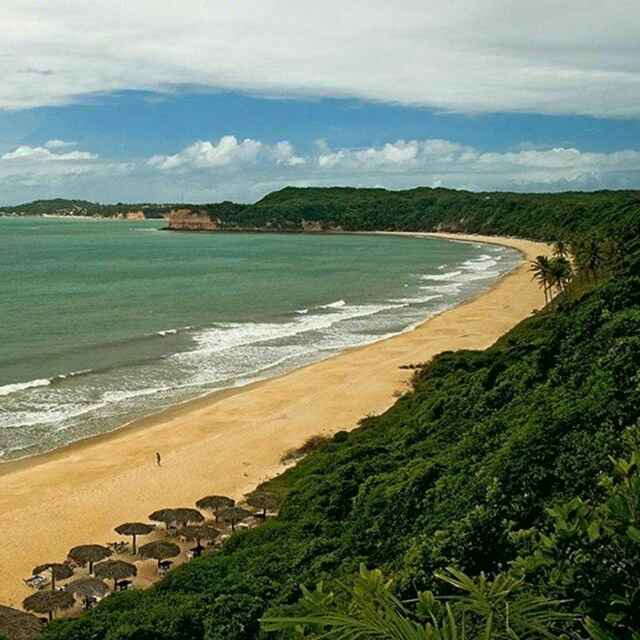 紧紧握紧步步为赢