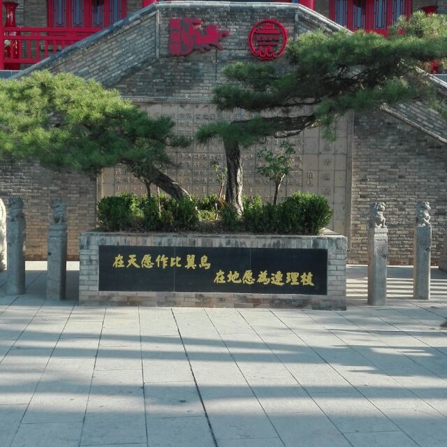 王鹏82099
