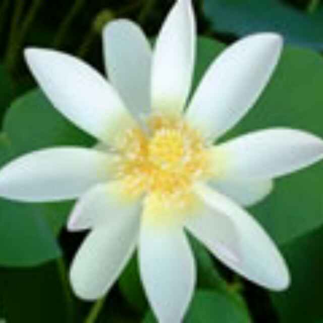 http://wx.qlogo.cn/mmopen/vi_32/Q0j4TwGTfTKXzUU0bIPQWJWENyMSZibLiaVezNVKHpCInku4wzfRjib59gm6u0FMXUmFZiaXD1s6ALKSaQZvKpJJmQ/0
