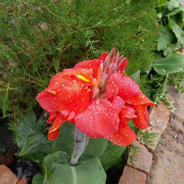 春暖花开