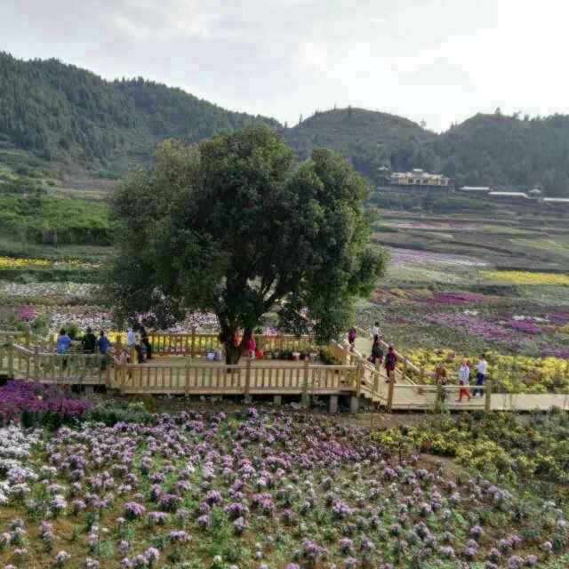 开心每一天11252