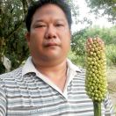 肥仔良，13555669164