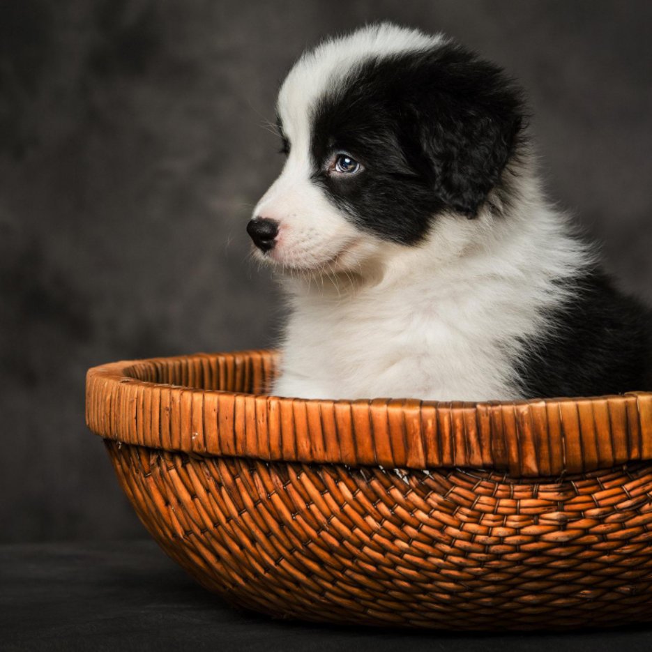 行有道、达天下