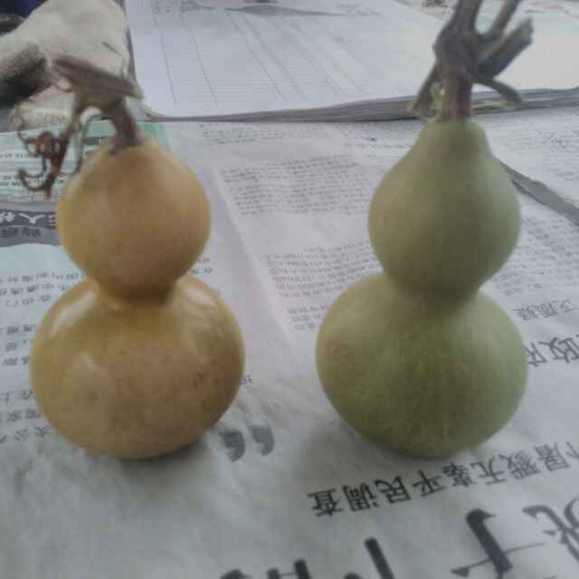 bojun