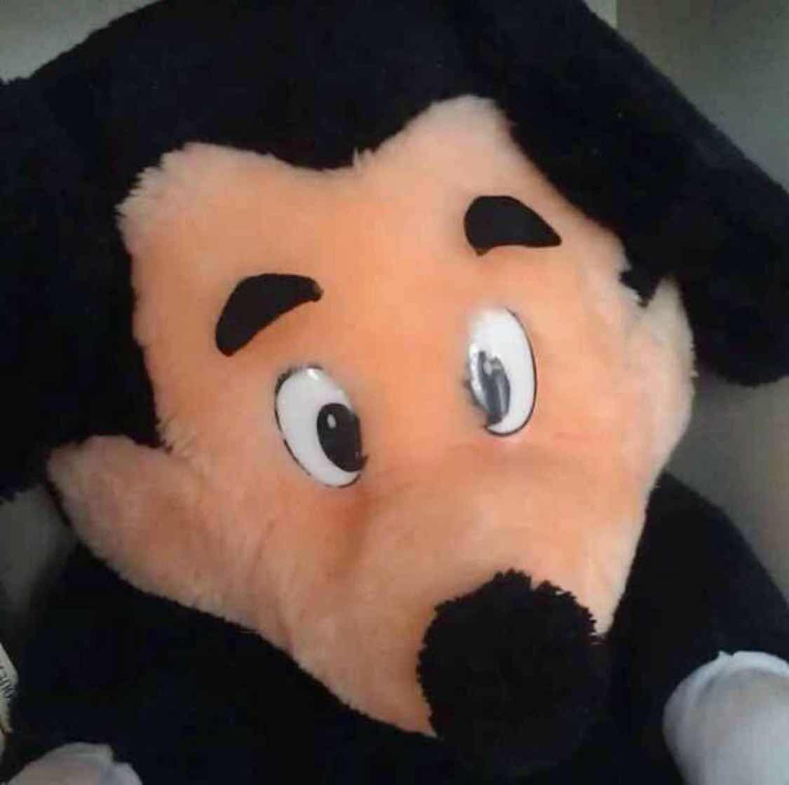 缘来如此