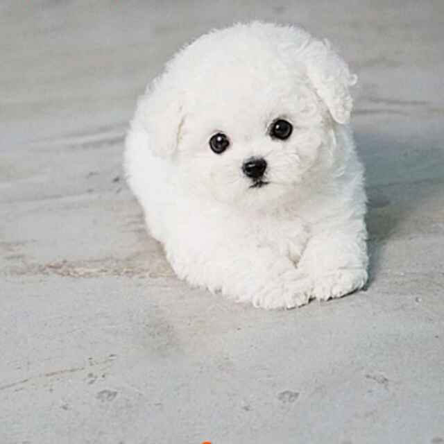 找回读书的乐趣