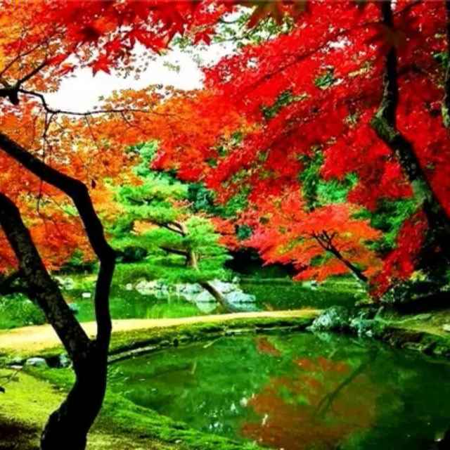 笑对人生(阳盛)