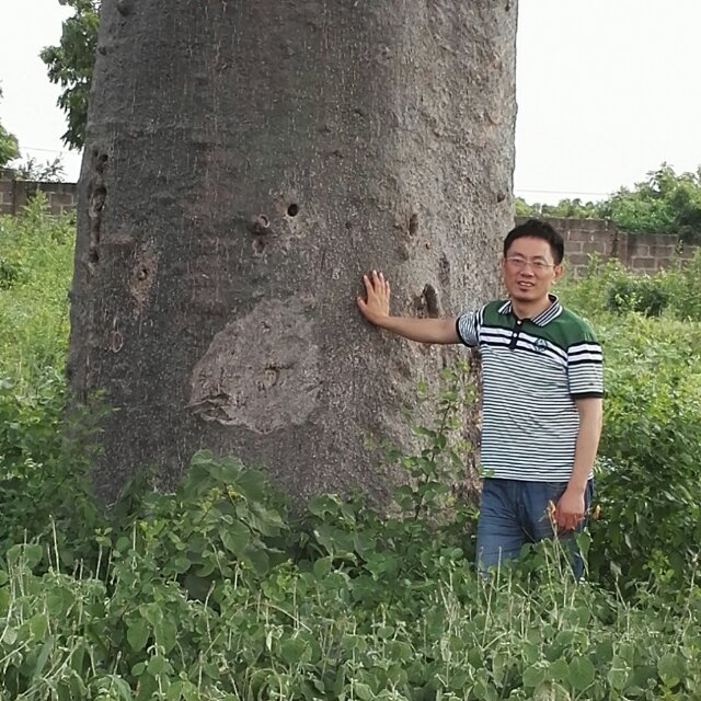 太仓拓菲贸易有限公司