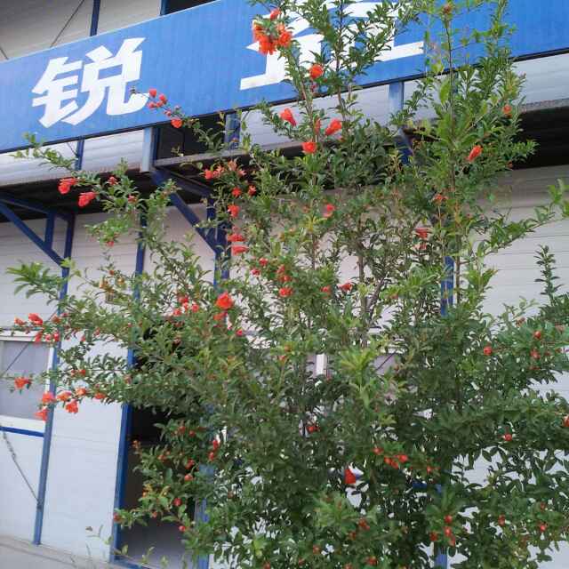 童心WXm王新民现场安全