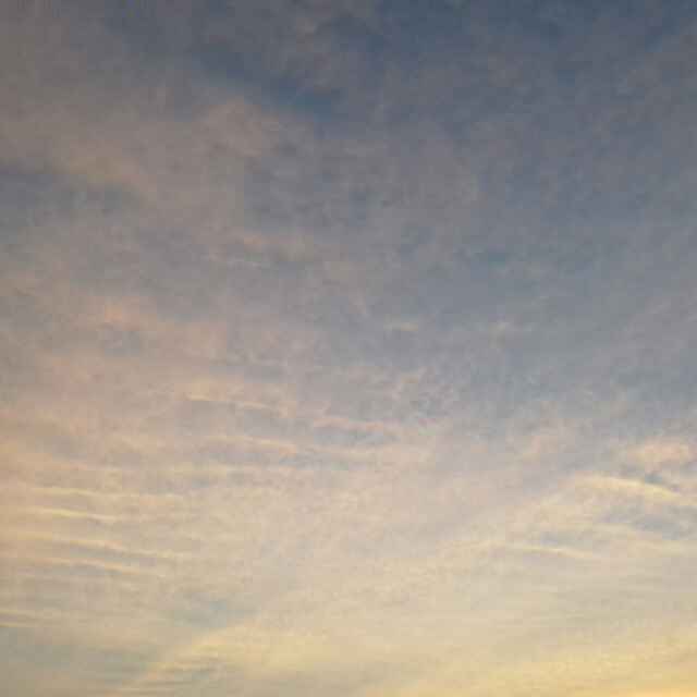 Fung_9959