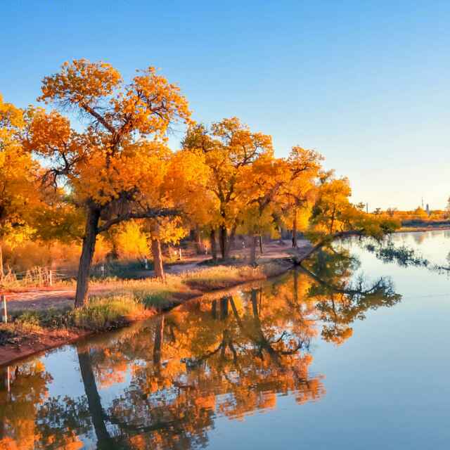 冬天的朋友15174343518