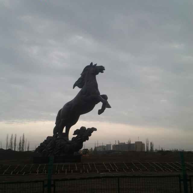 初升的太阳66568