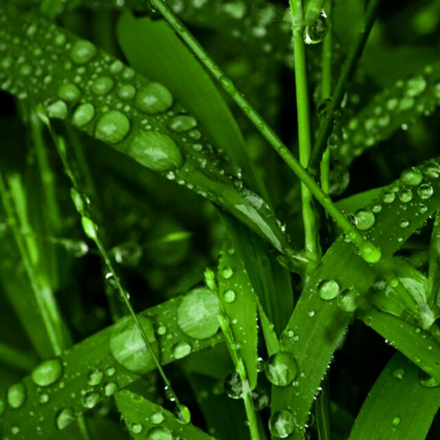 开心每一天_4257