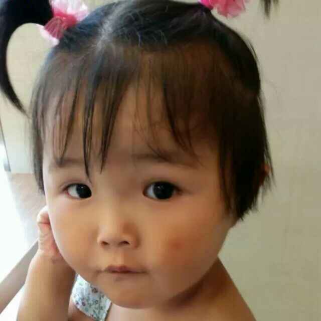 微信小海豚_25180390