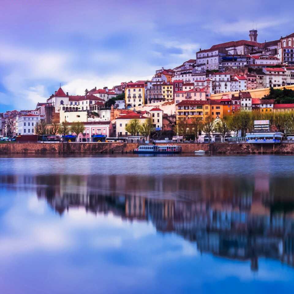 努力加油向钱看