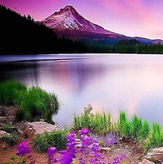 阳光总在风雨后18749