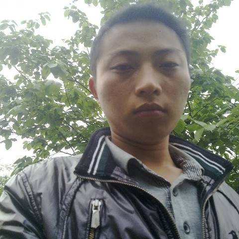 小海豚_38078226