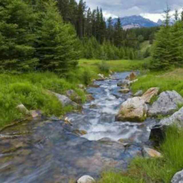 河水