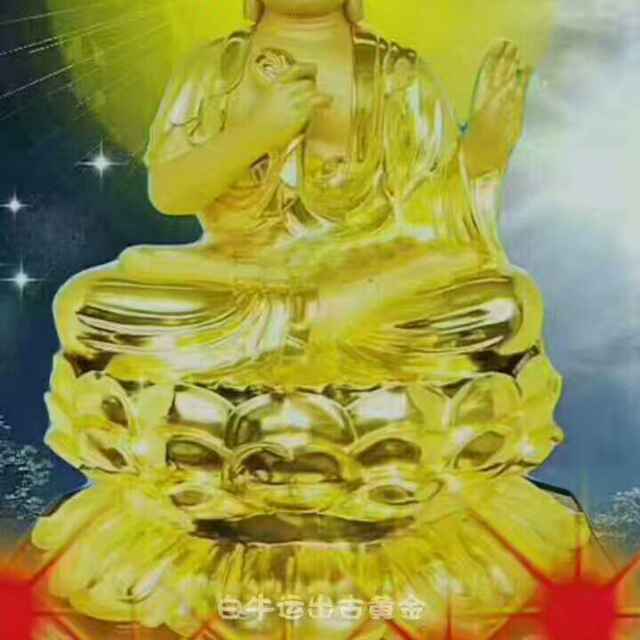 水中鱼