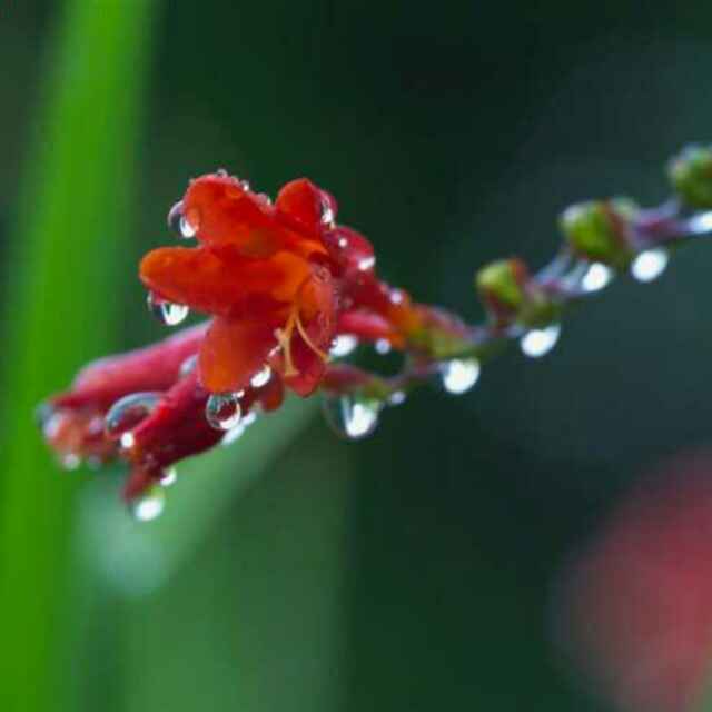 平平淡淡小生活