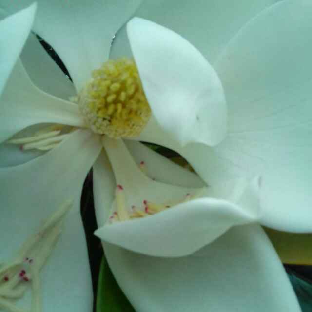 清水蓝天