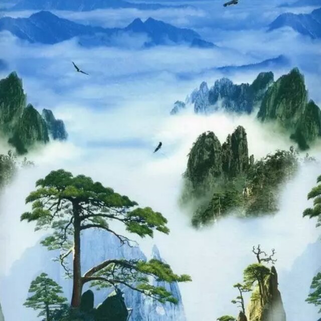 小海豚_25434001