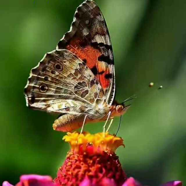 心若止水  时间有泪