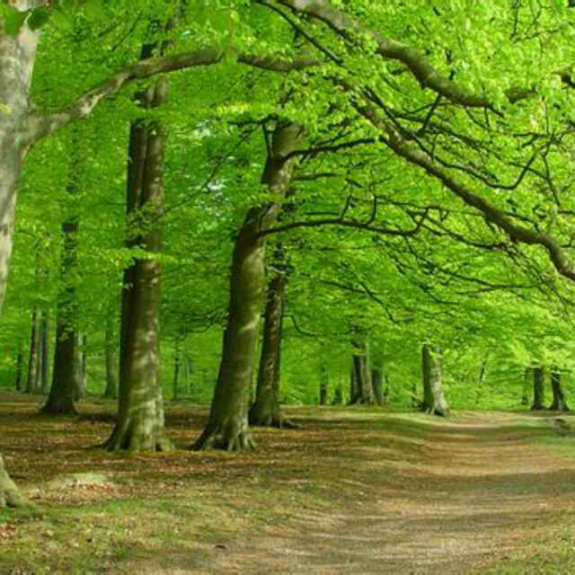 缘份的天空87570