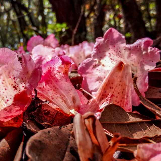 明天会更好87313