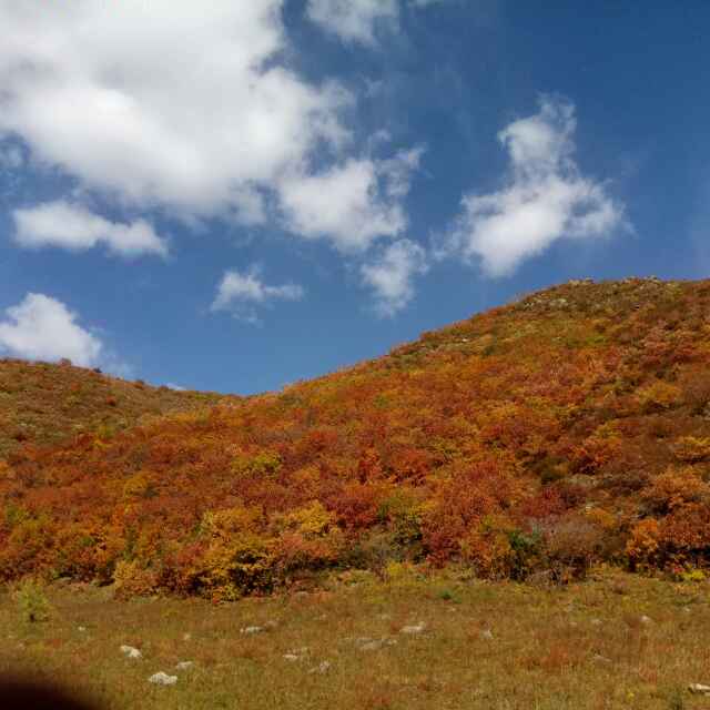 绚丽彩虹