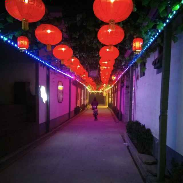 A-白延涛
