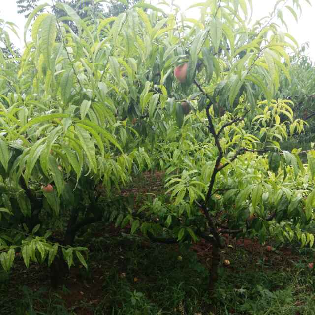 雨后彩虹