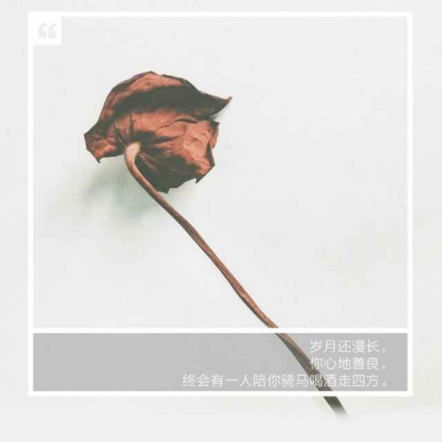泪成沙