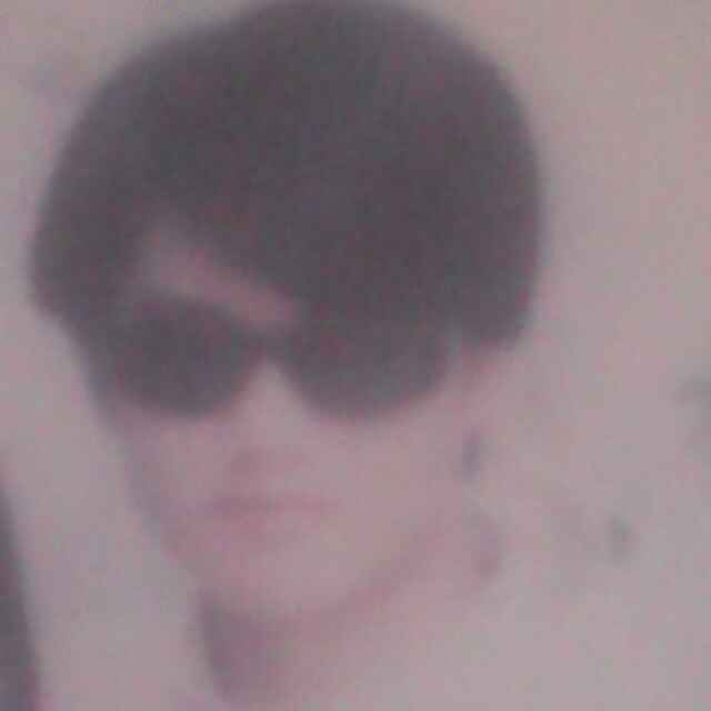 豹