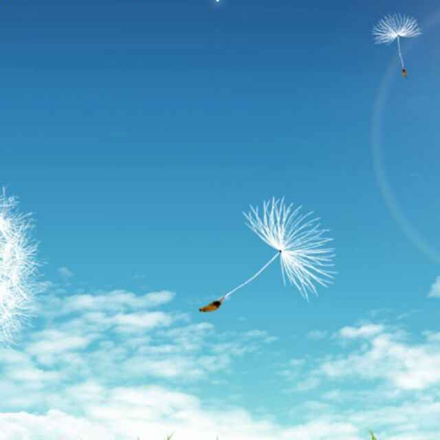 http://wx.qlogo.cn/mmopen/y5RpFDuUObwsyicEBicKopZXNE1G8NQYl2Z3icqDdpvfaPdXosOOHeT5HIDHBVZryDtbyXgxjAXMibbeyUqHavHF3A/0