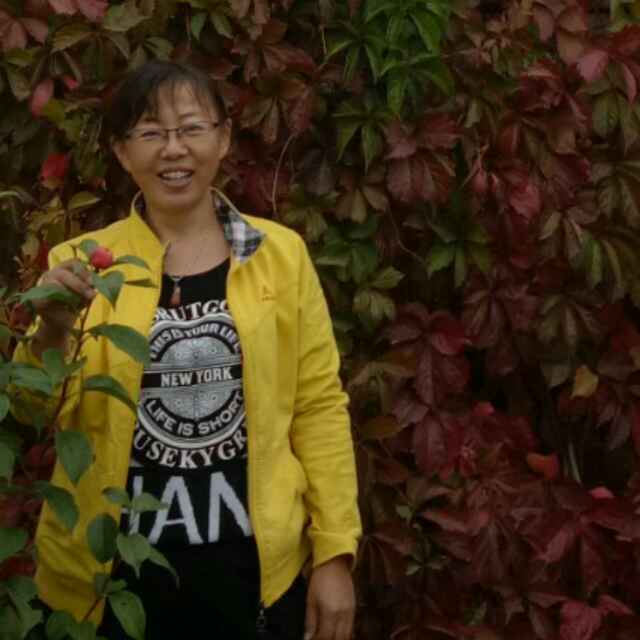 燕子啊燕子的头像